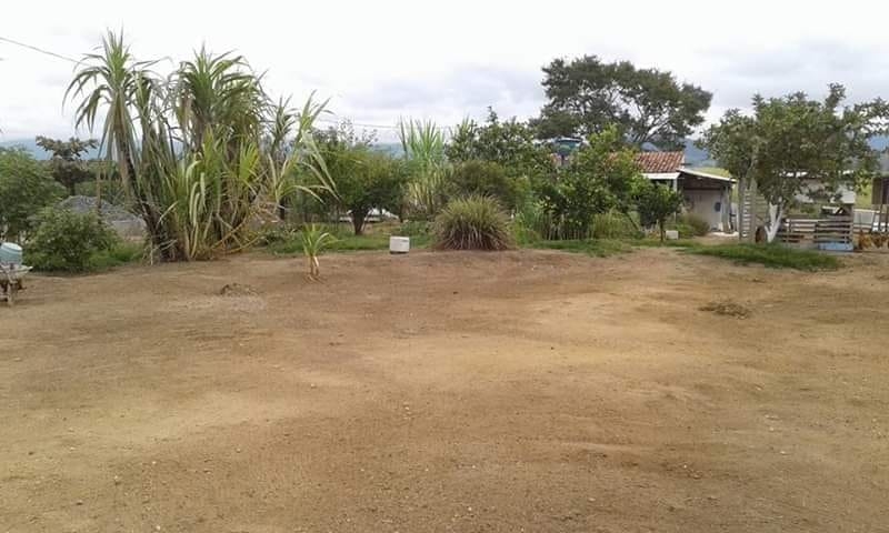 Casa à venda com 3 quartos, 2100m² - Foto 1