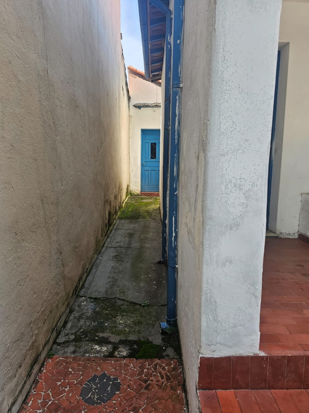 Casa, 3 quartos - Foto 12