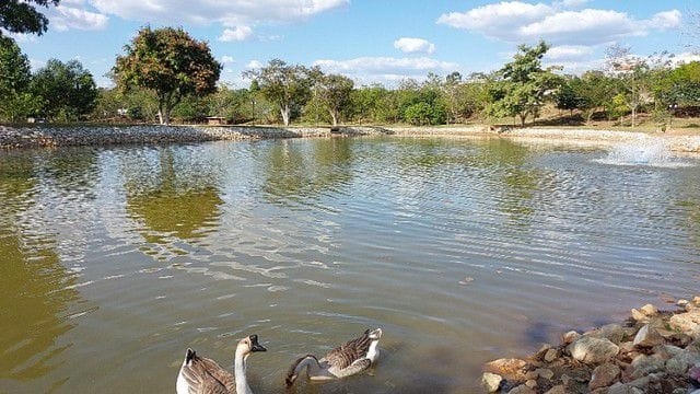 Casa de Condomínio à venda com 3 quartos, 180m² - Foto 12