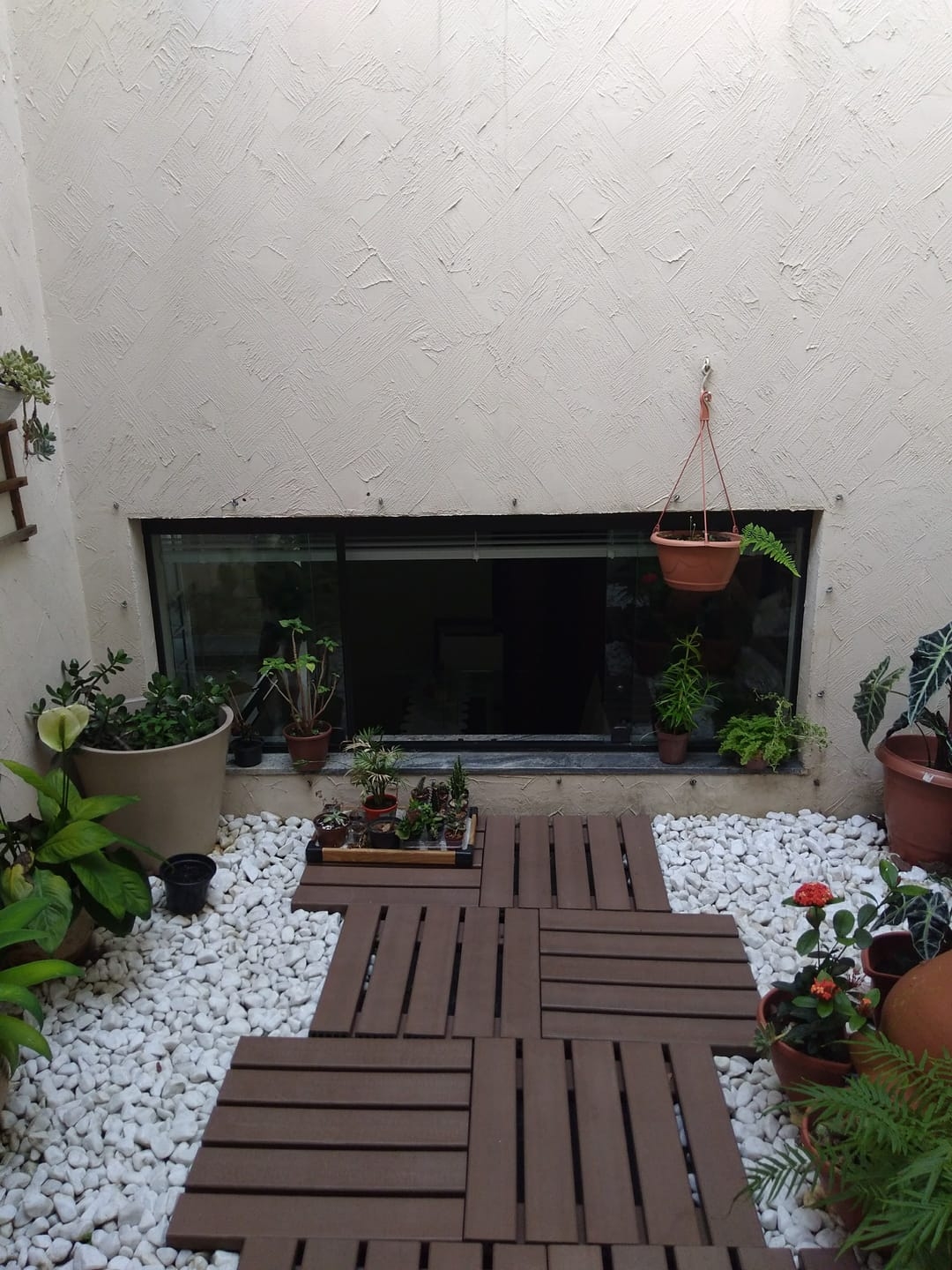 Casa, 3 quartos - Foto 23