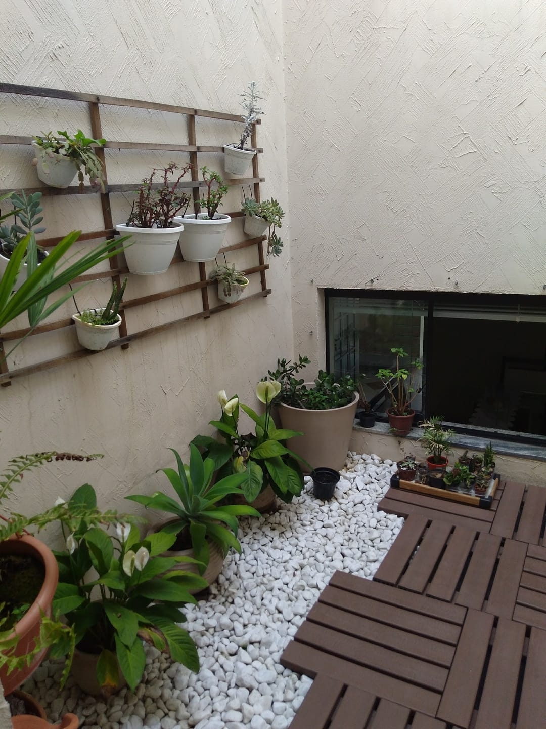 Casa, 3 quartos - Foto 24