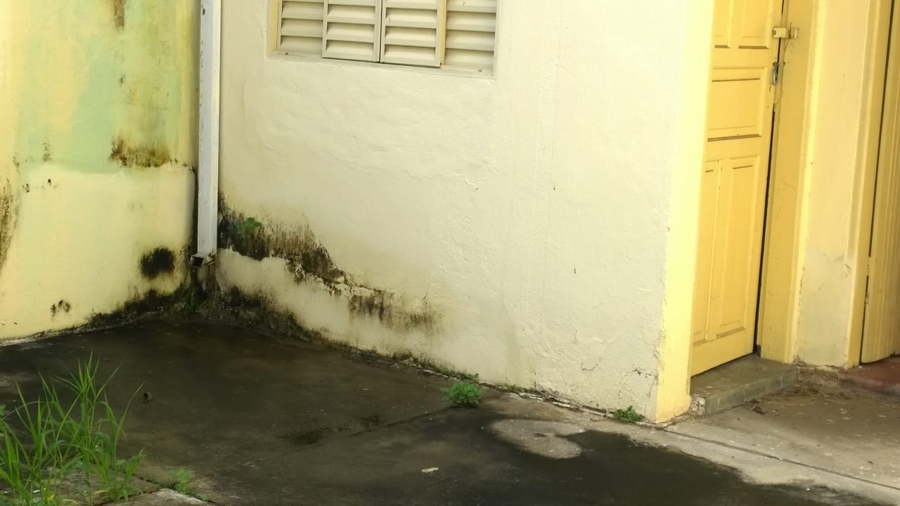 Casa, 3 quartos, 156 m² - Foto 9