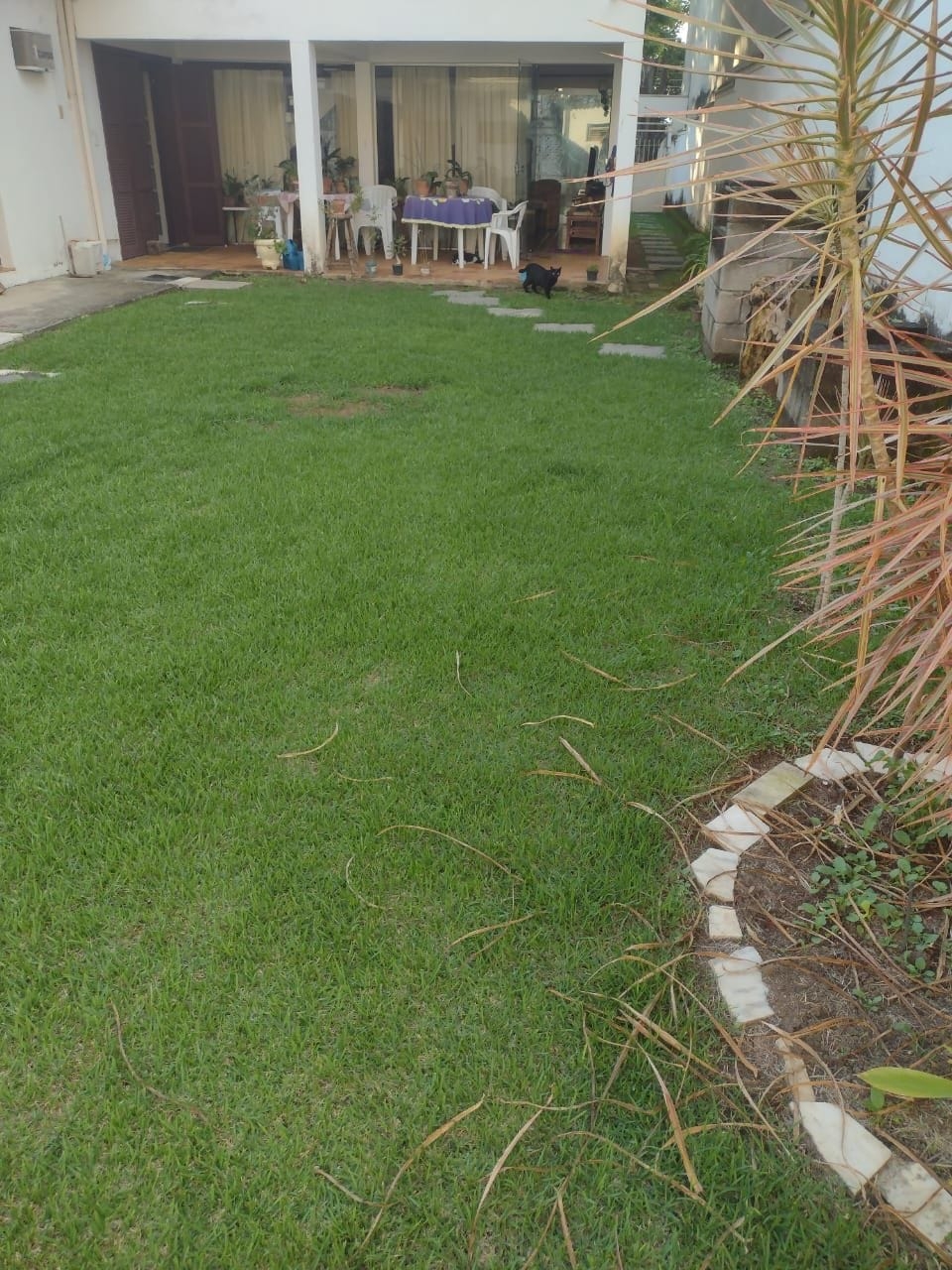 Casa, 4 quartos, 340 m² - Foto 20