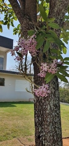 Casa de Condomínio à venda com 3 quartos, 314m² - Foto 2