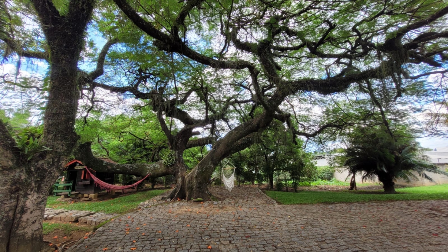 Casa, 5 quartos, 350 m² - Foto 18