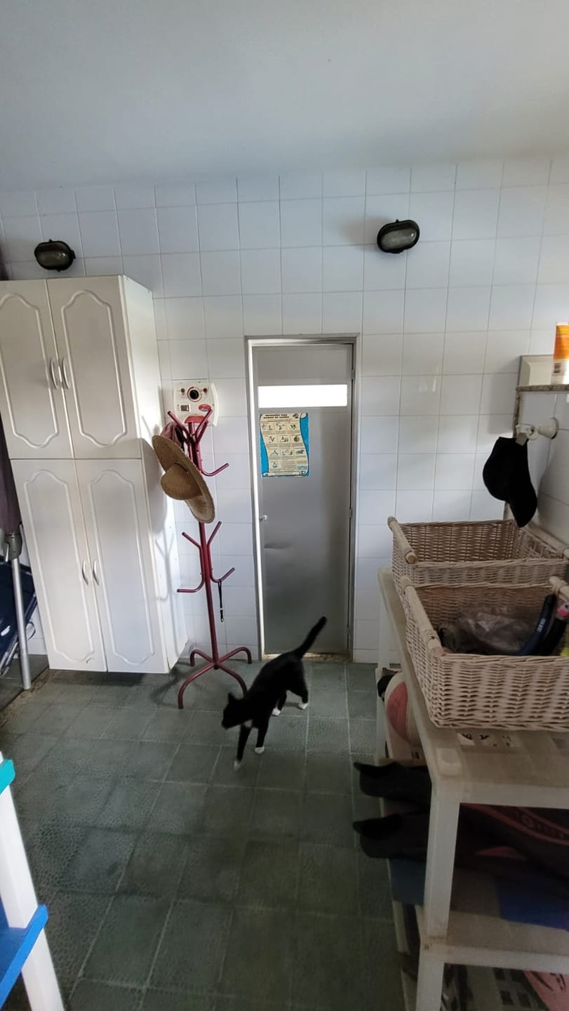 Casa, 5 quartos, 350 m² - Foto 15