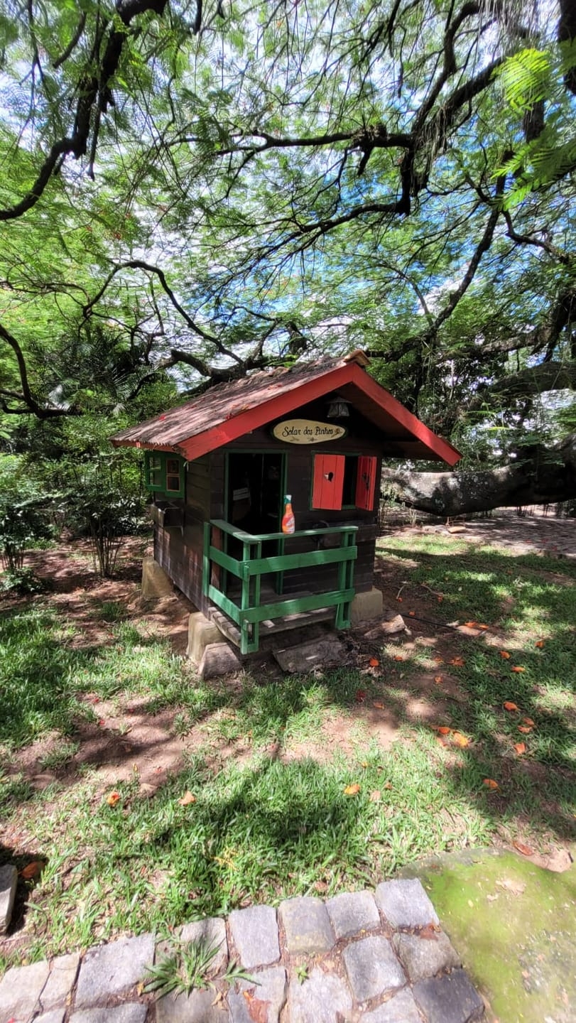 Casa, 5 quartos, 350 m² - Foto 3