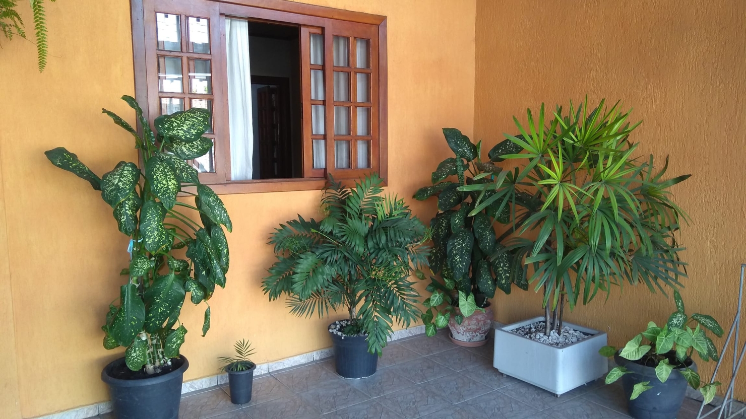 Casa à venda com 3 quartos - Foto 4