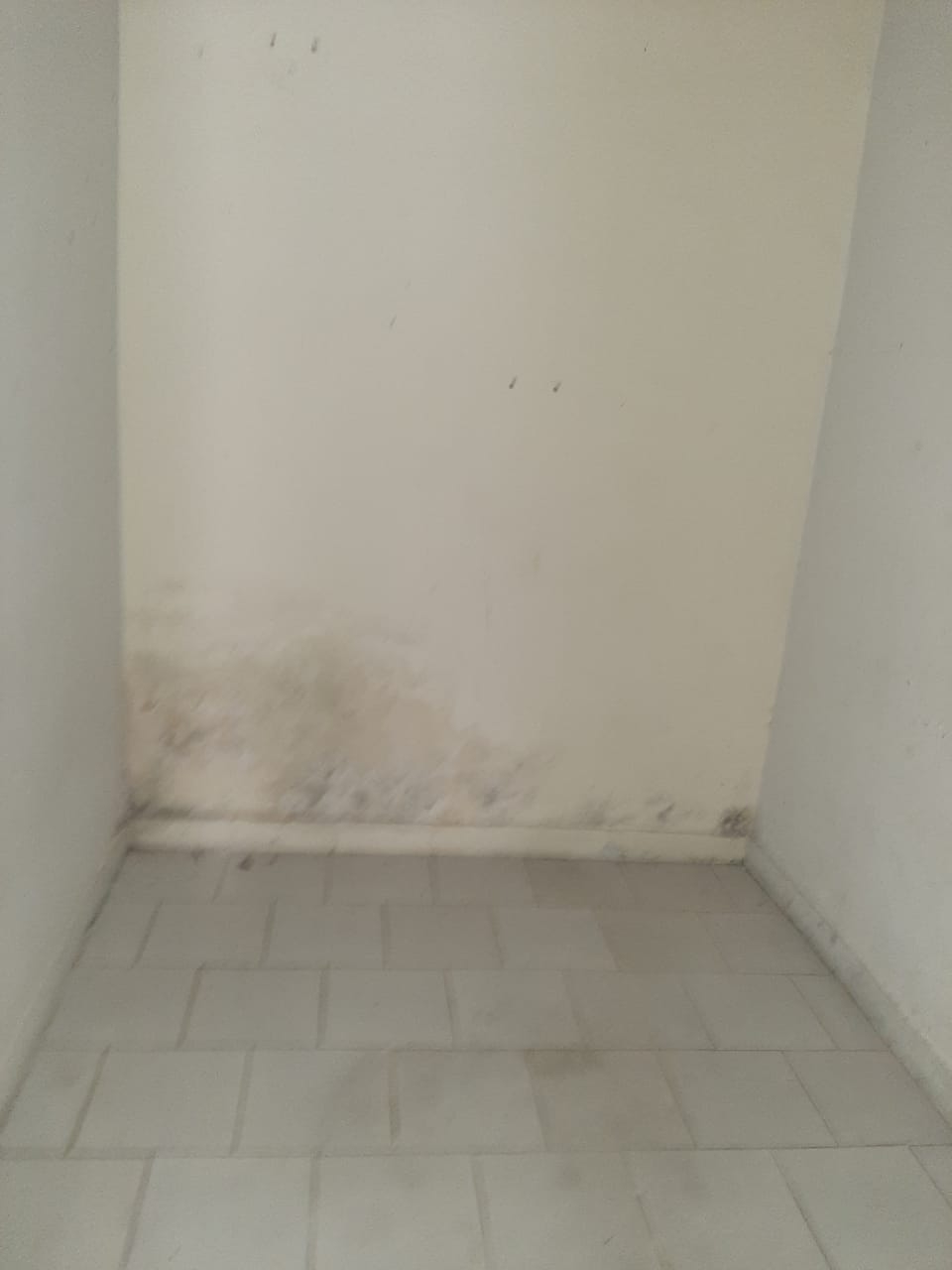 Casa, 4 quartos - Foto 9