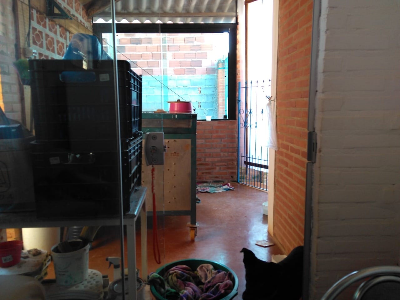 Casa, 3 quartos, 101 m² - Foto 6