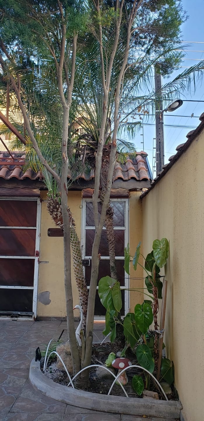 Casa, 3 quartos, 179 m² - Foto 1
