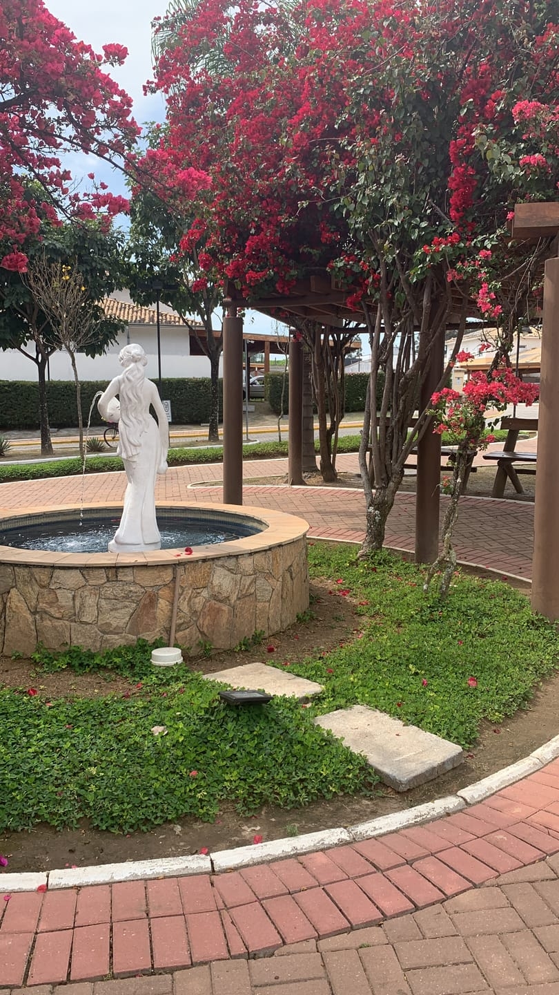 Casa de Condomínio à venda com 3 quartos, 87m² - Foto 33