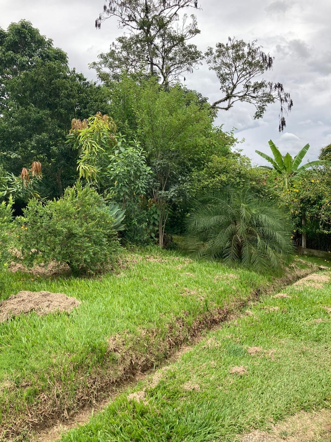 Casa à venda com 3 quartos, 200m² - Foto 3