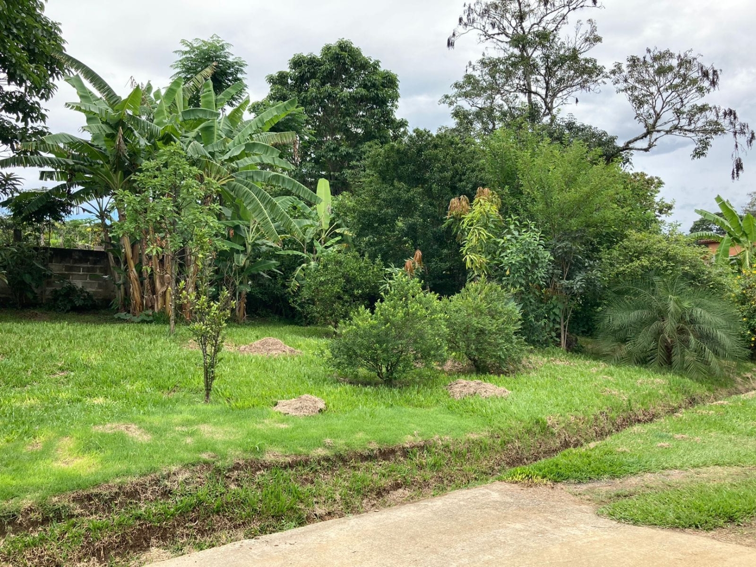 Casa à venda com 3 quartos, 200m² - Foto 5