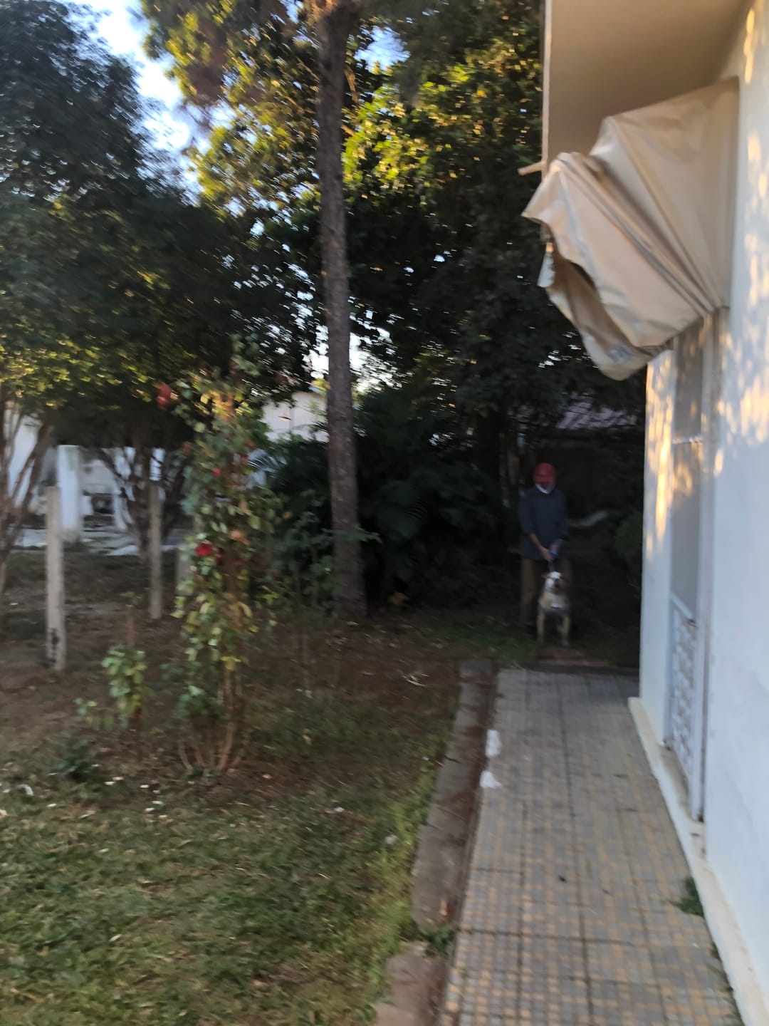 Casa à venda e aluguel com 3 quartos, 235m² - Foto 33