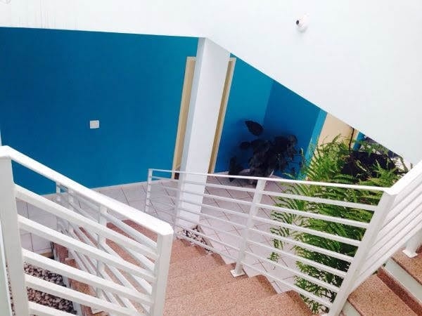 Casa, 4 quartos, 435 m² - Foto 6