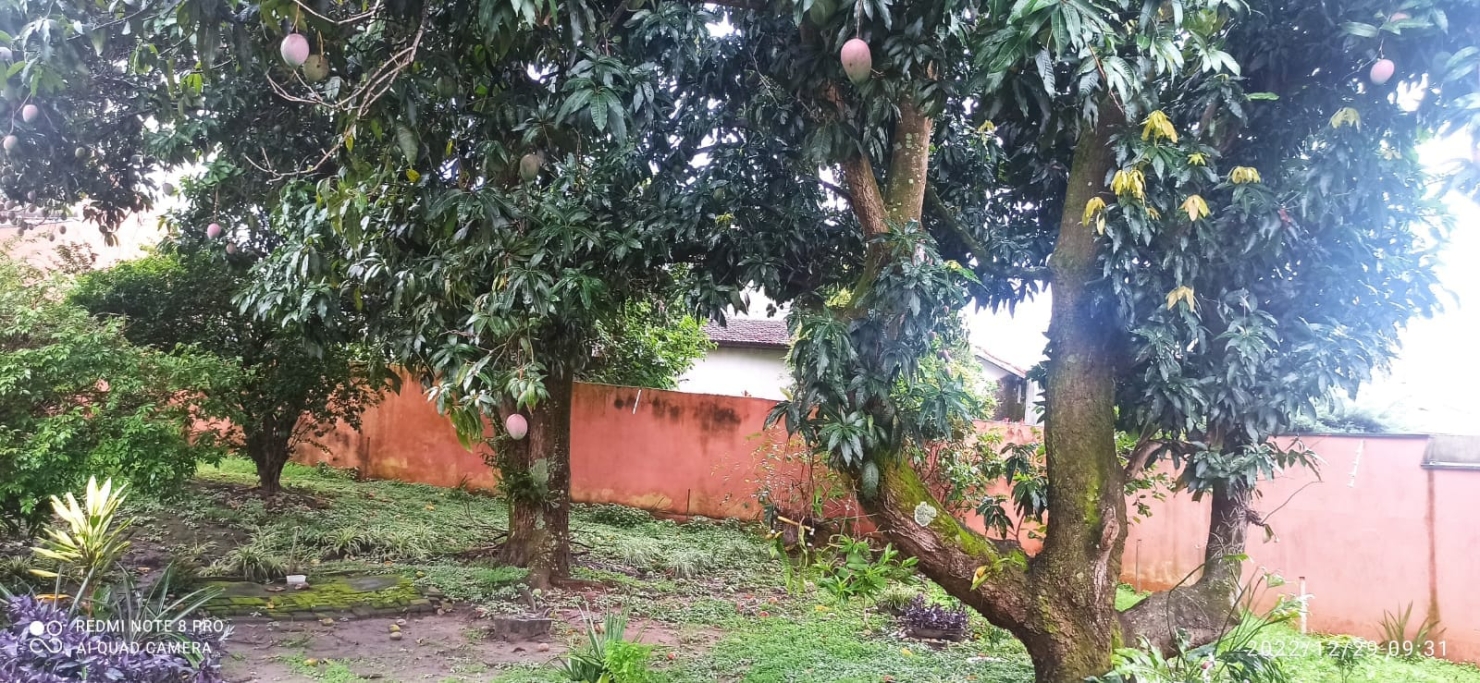 Casa, 4 quartos, 303 m² - Foto 10