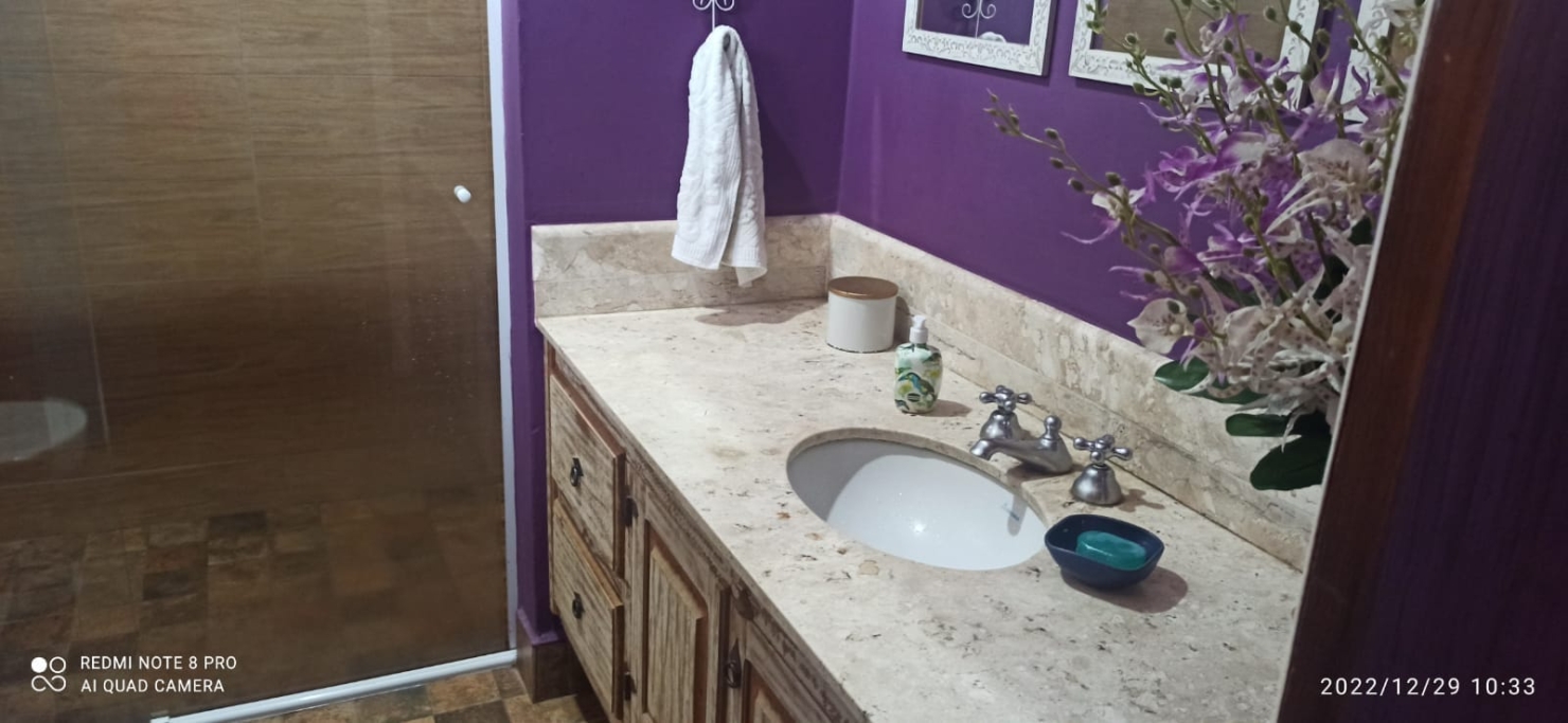 Casa, 4 quartos, 303 m² - Foto 14