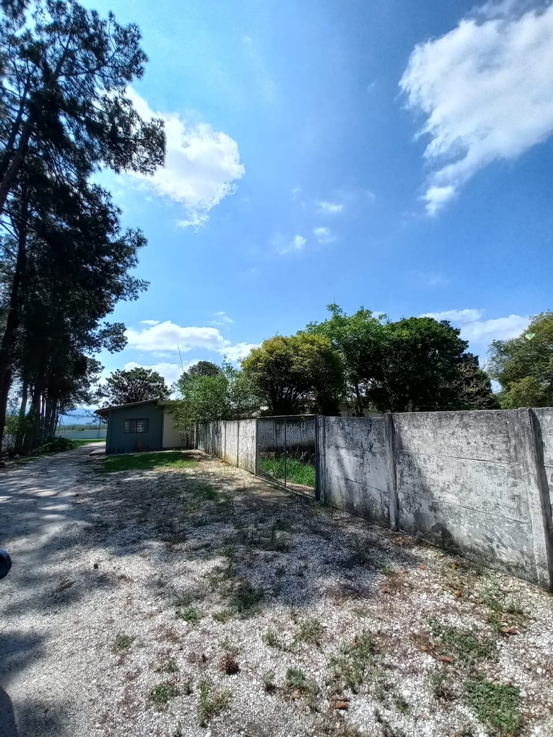 Casa, 5 quartos, 400 m² - Foto 12