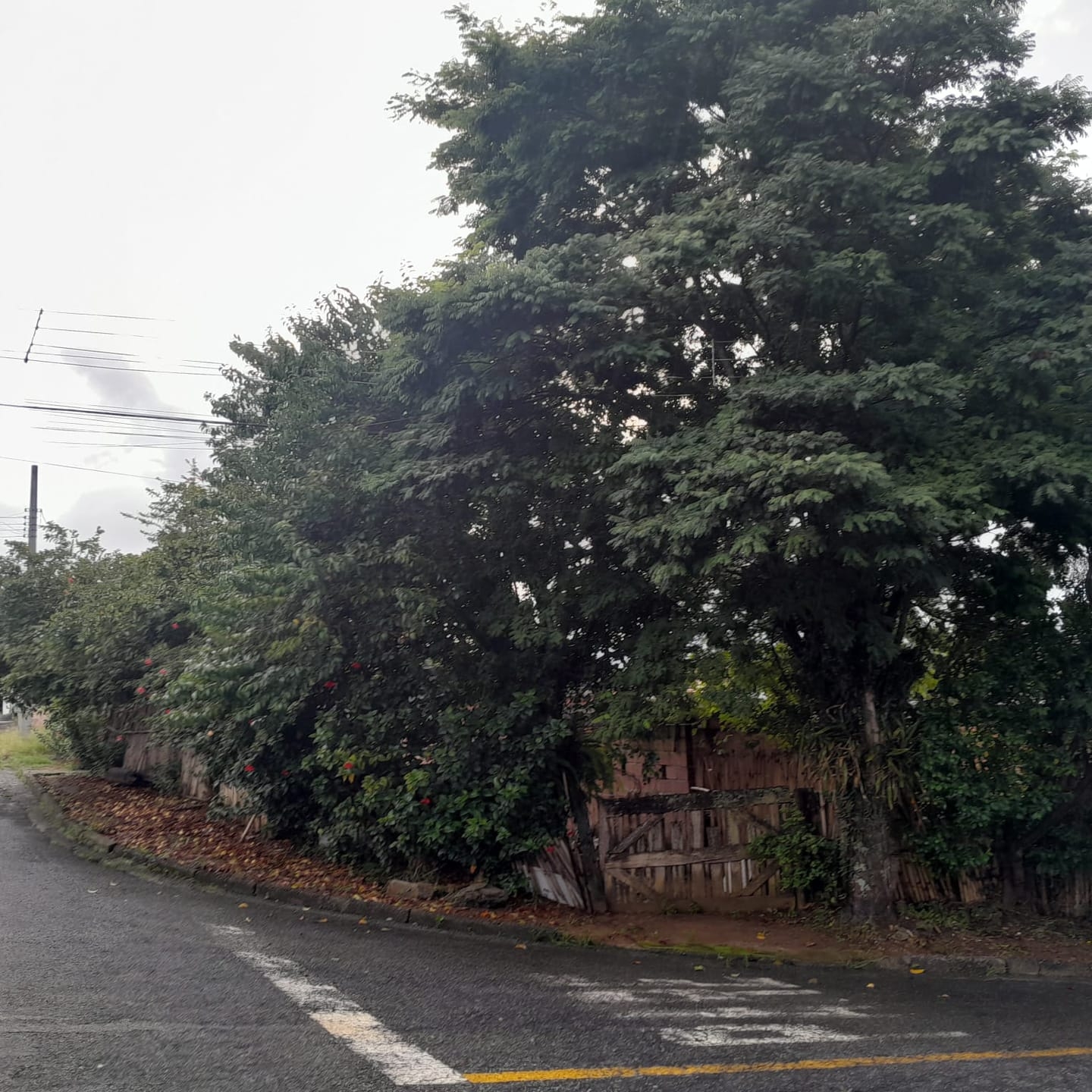 Casa, 2 quartos, 80 m² - Foto 2