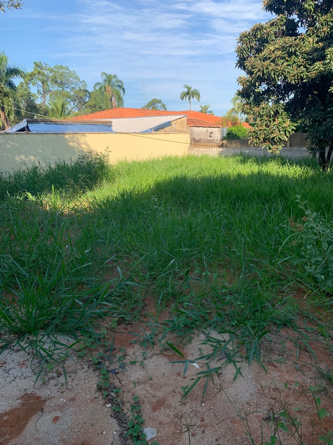Casa à venda e aluguel com 3 quartos, 154m² - Foto 3