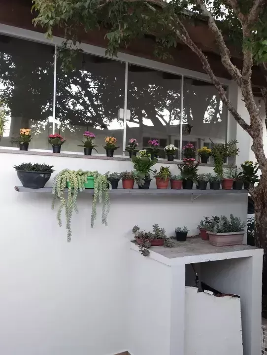 Casa, 3 quartos, 260 m² - Foto 17