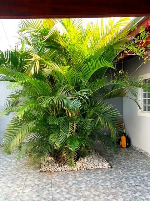 Casa à venda com 2 quartos, 137m² - Foto 3
