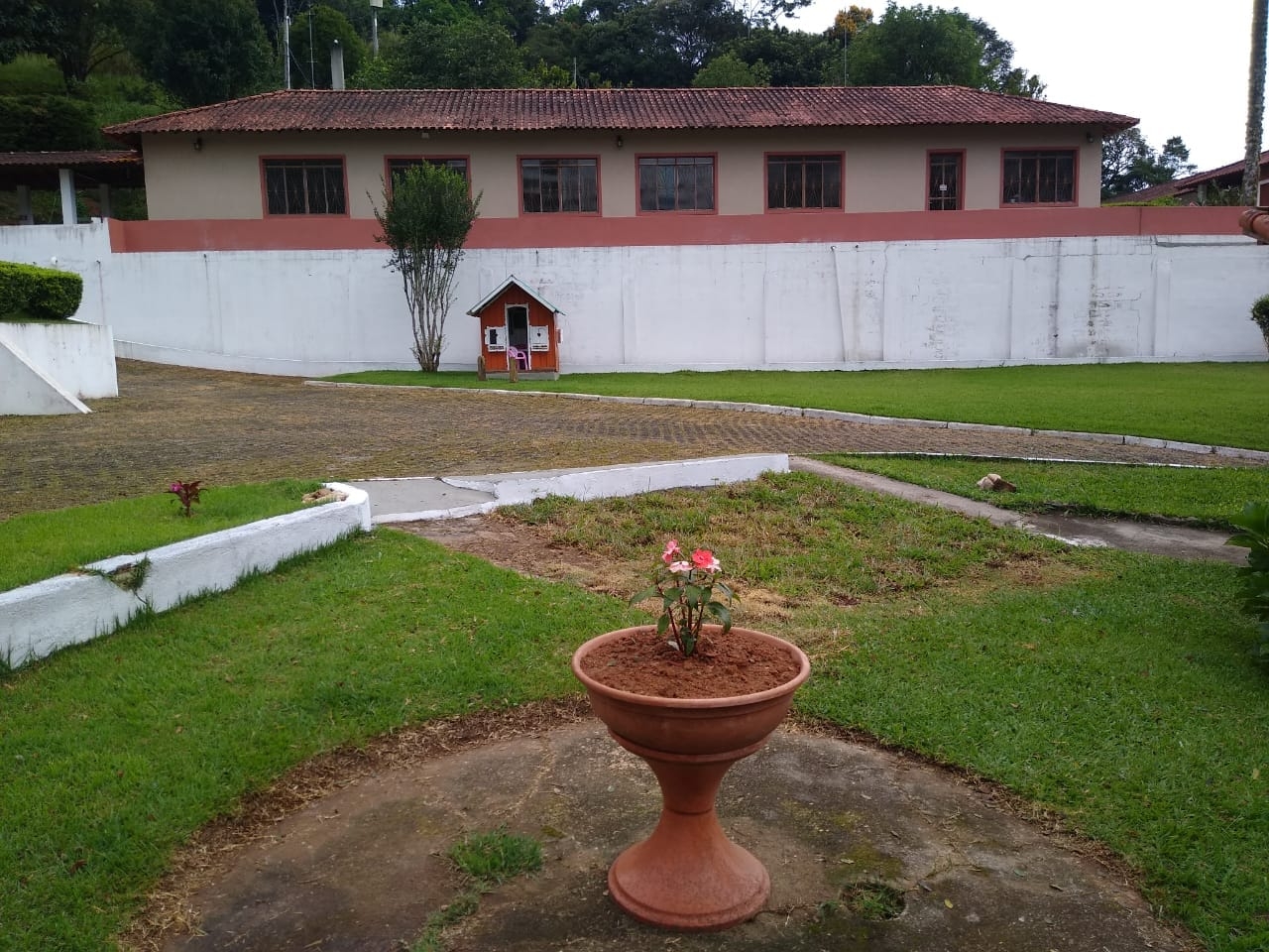 Sítio, 7 quartos, 15 hectares - Foto 6