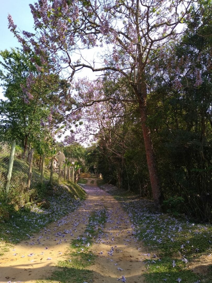 Sítio, 7 quartos, 15 hectares - Foto 22