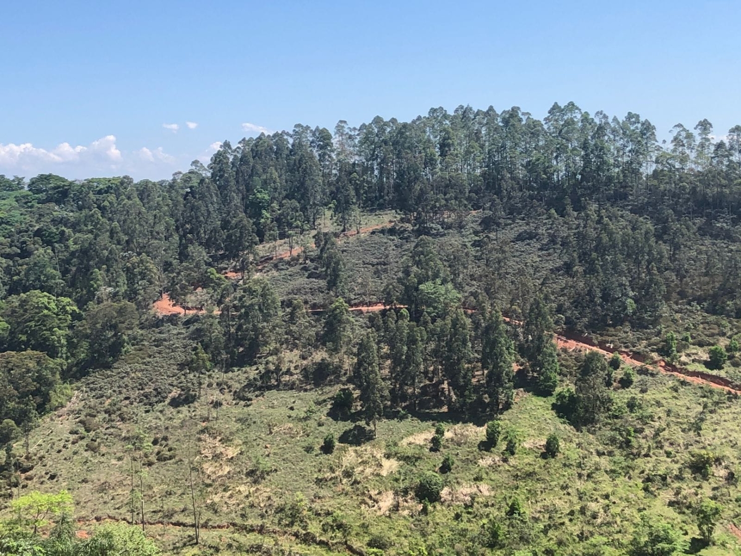 Sítio à venda com 1 quarto, 216000m² - Foto 9