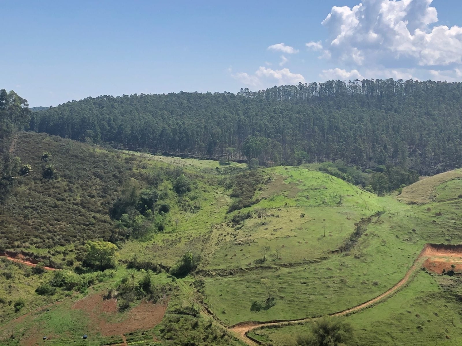 Sítio à venda com 1 quarto, 216000m² - Foto 11