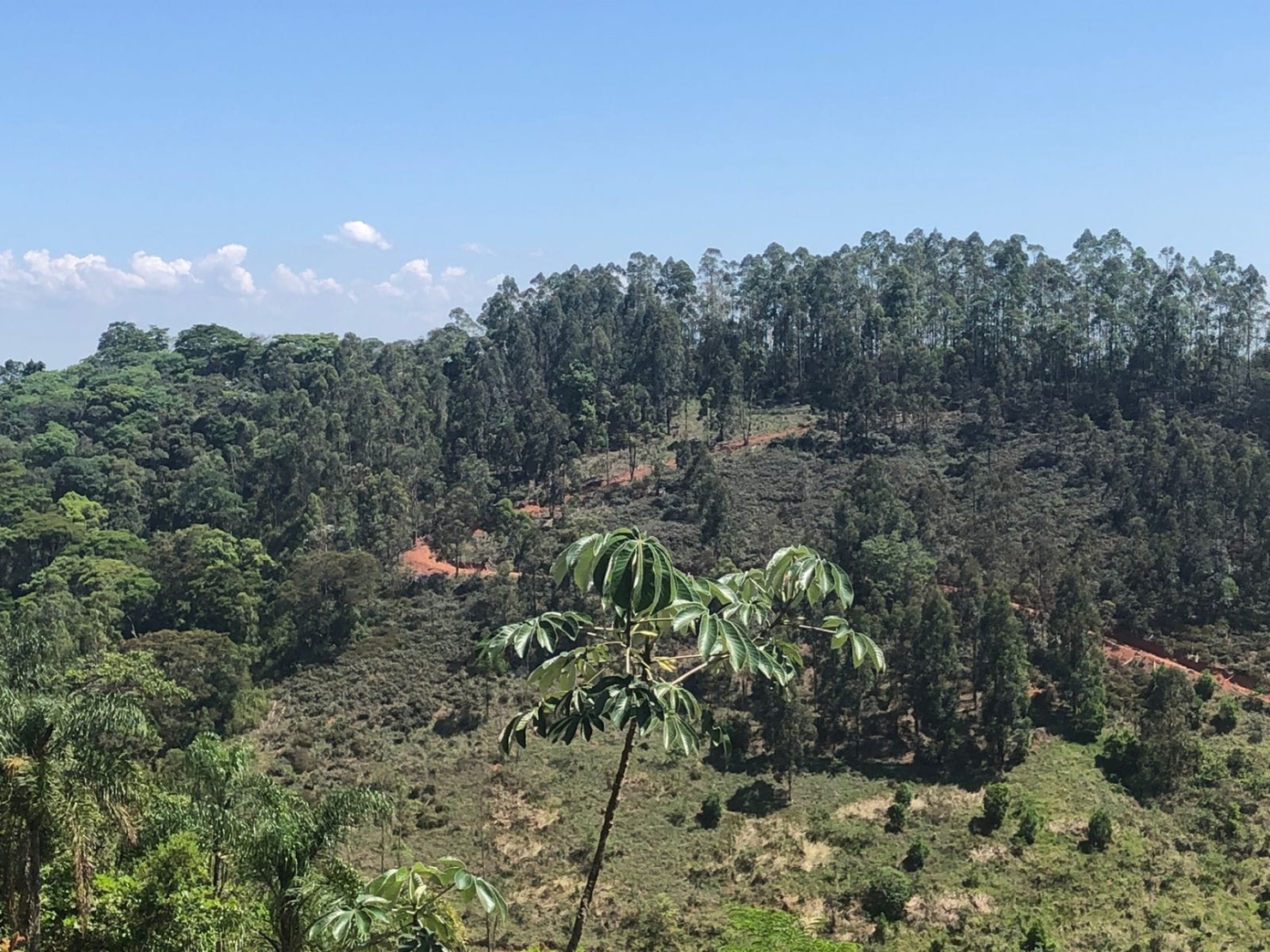 Sítio à venda com 1 quarto, 216000m² - Foto 13