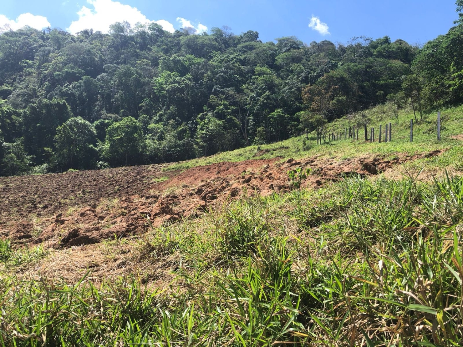 Sítio à venda com 1 quarto, 216000m² - Foto 15