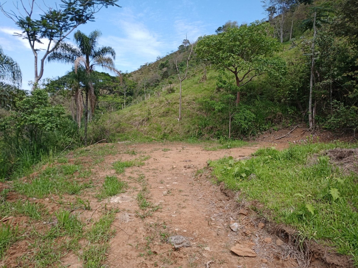 Sítio à venda com 1 quarto, 216000m² - Foto 17