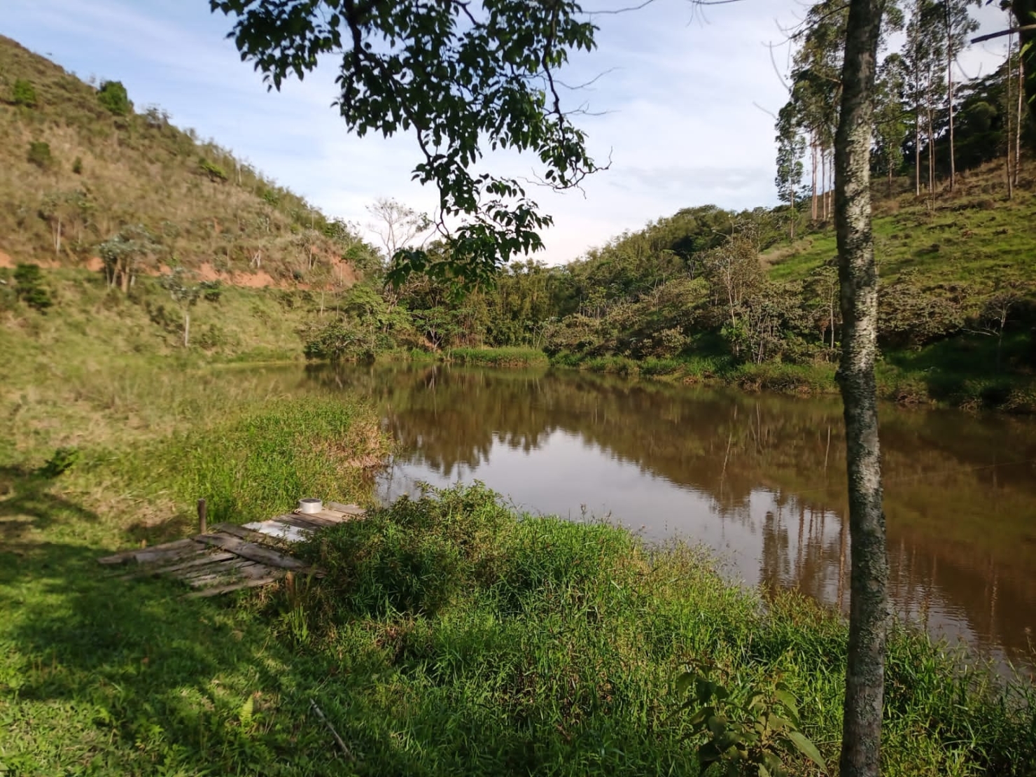 Sítio à venda com 1 quarto, 216000m² - Foto 18