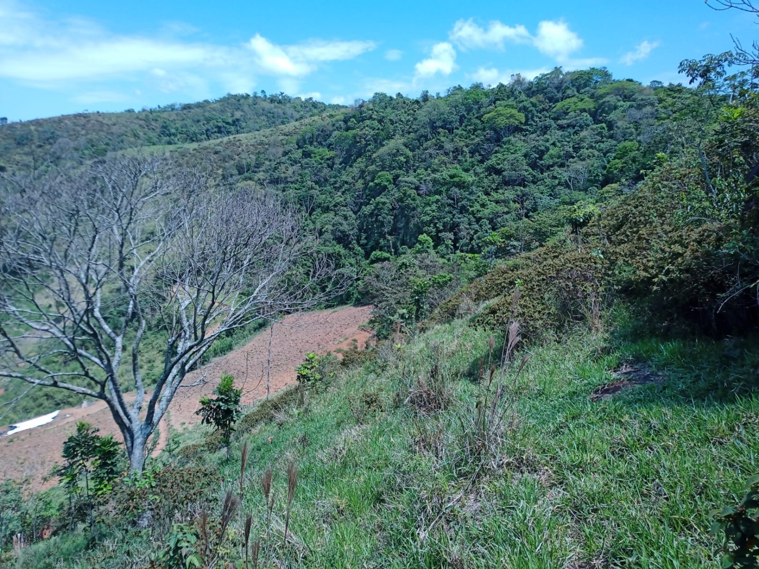 Sítio à venda com 1 quarto, 216000m² - Foto 28