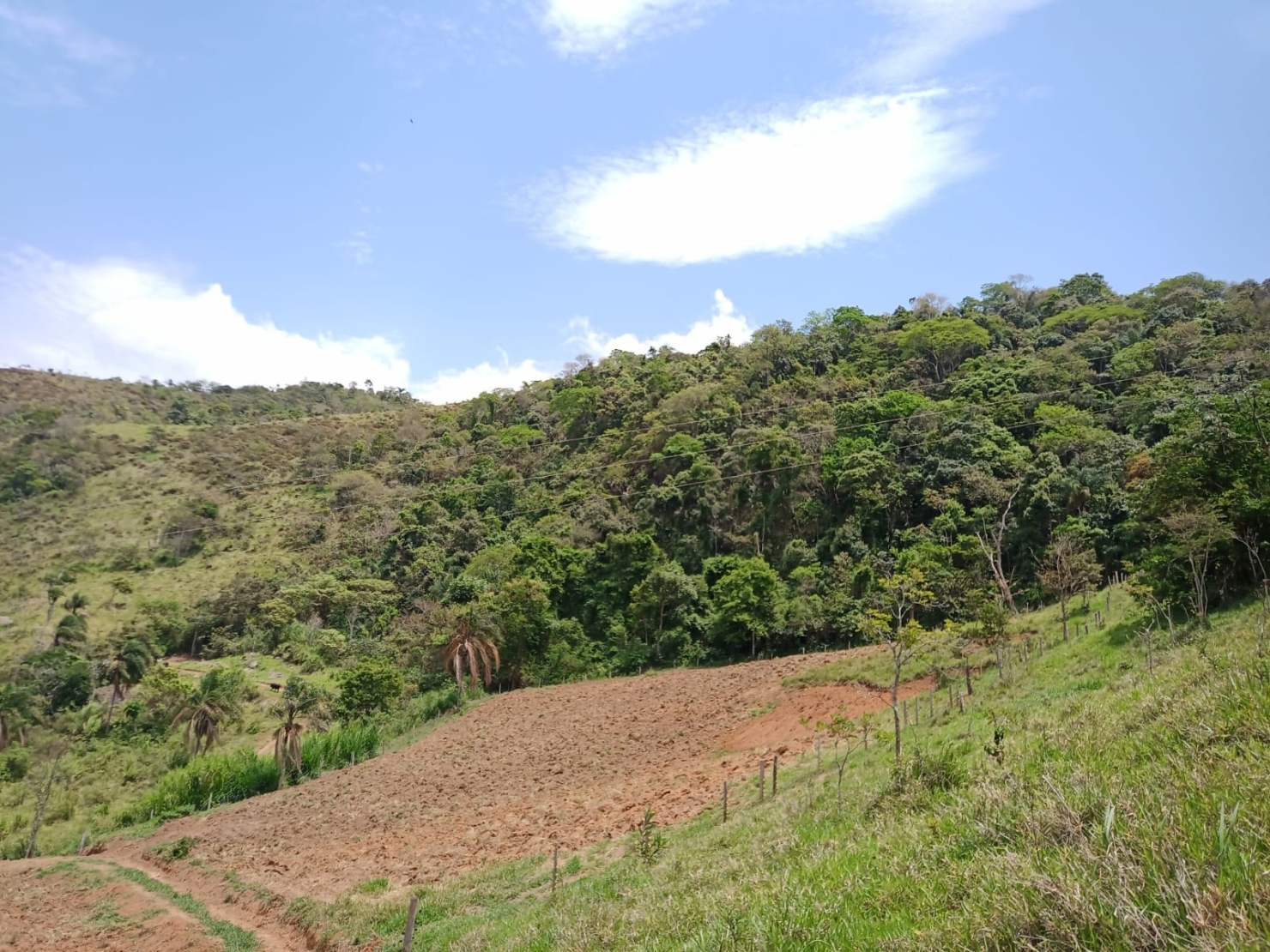 Sítio à venda com 1 quarto, 216000m² - Foto 29