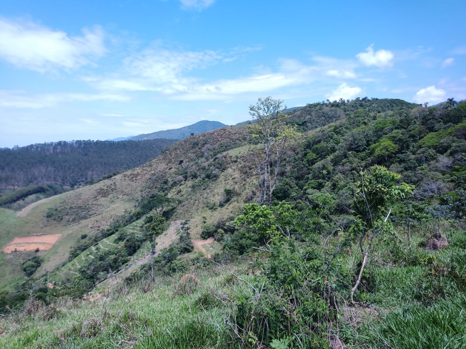 Sítio à venda com 1 quarto, 216000m² - Foto 30