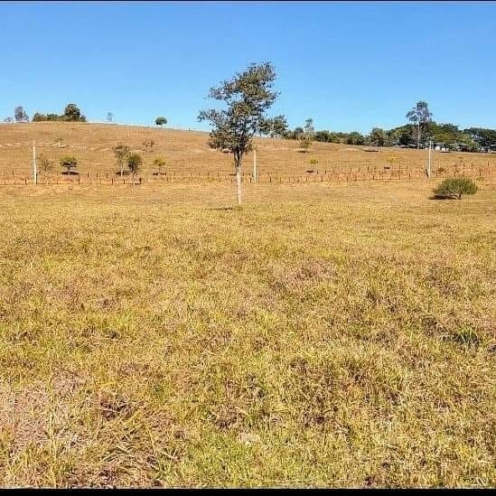 Terreno, 3 hectares - Foto 6