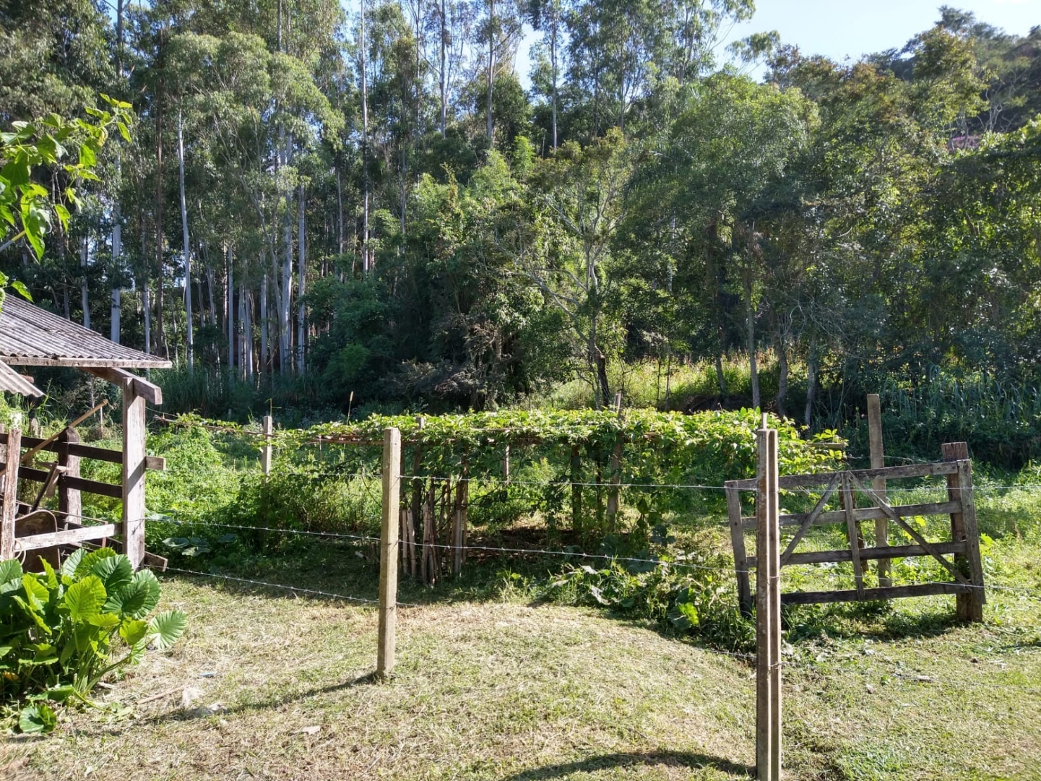 Sítio, 2 quartos, 7 hectares - Foto 18