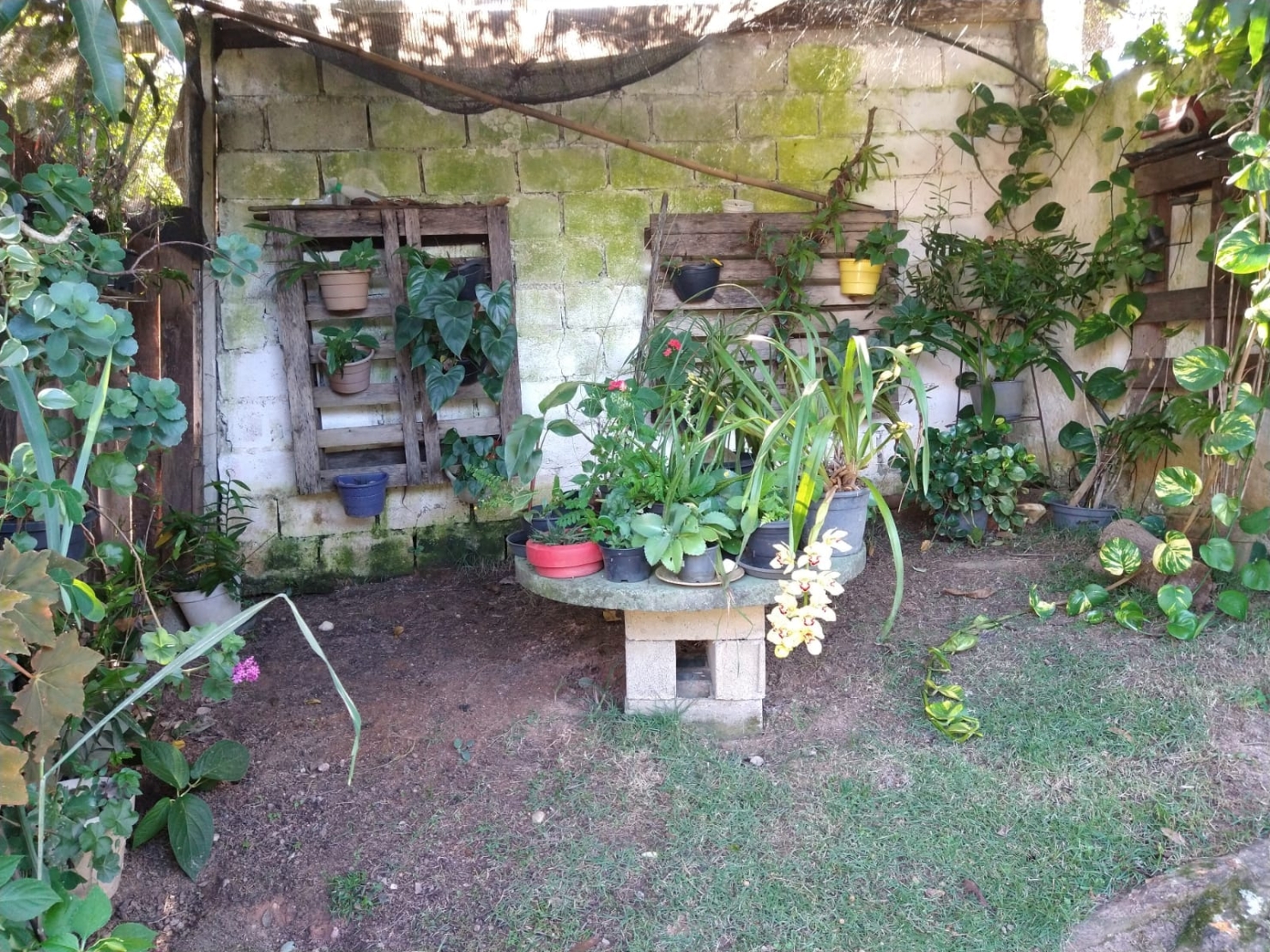 Sítio, 2 quartos, 7 hectares - Foto 23