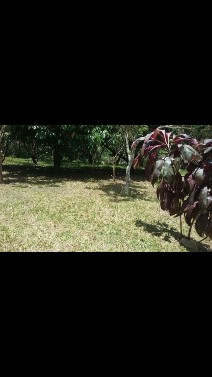 Chácara, 2 quartos, 2 hectares - Foto 1