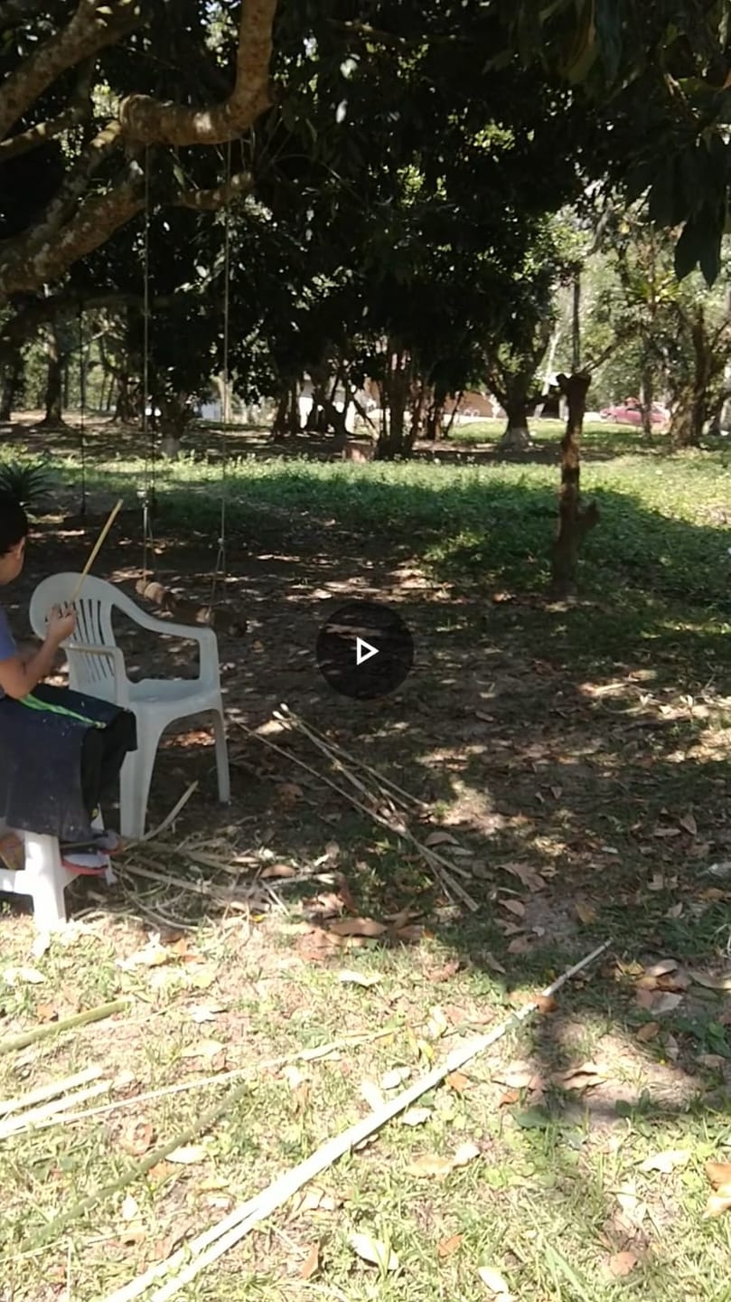 Chácara, 2 quartos, 2 hectares - Foto 2