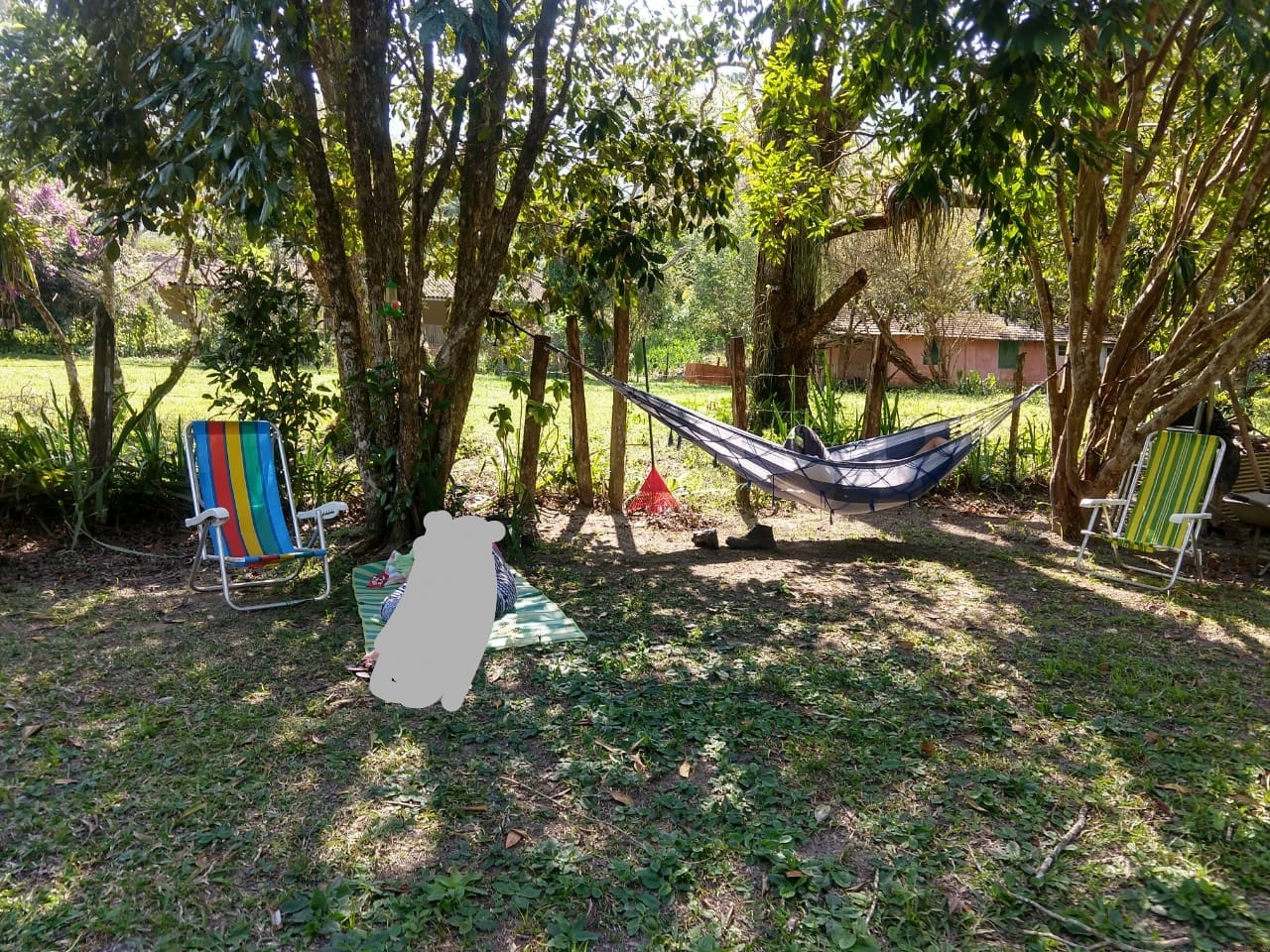 Chácara, 2 quartos, 2 hectares - Foto 3