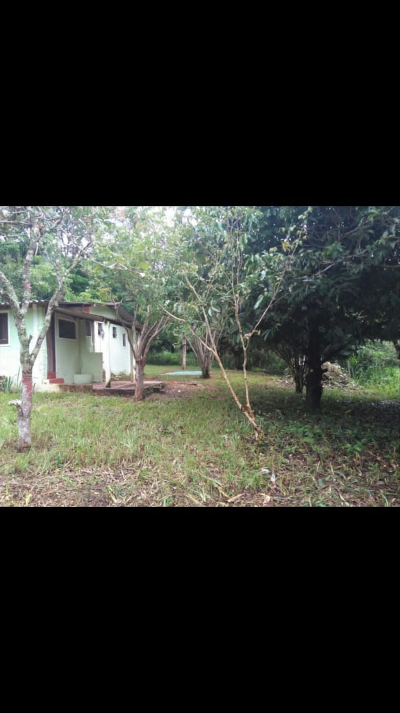 Chácara, 2 quartos, 2 hectares - Foto 4