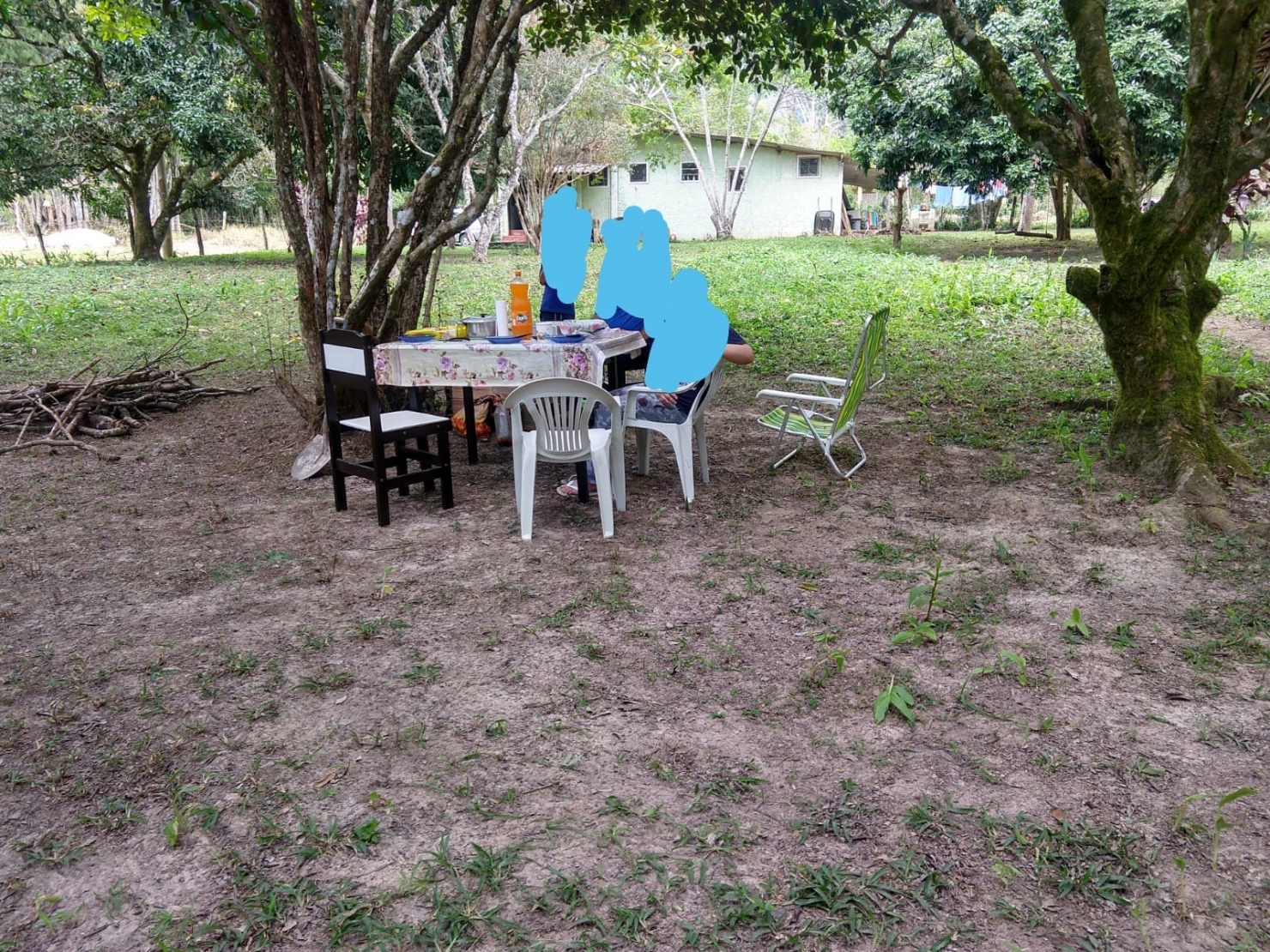 Chácara, 2 quartos, 2 hectares - Foto 6