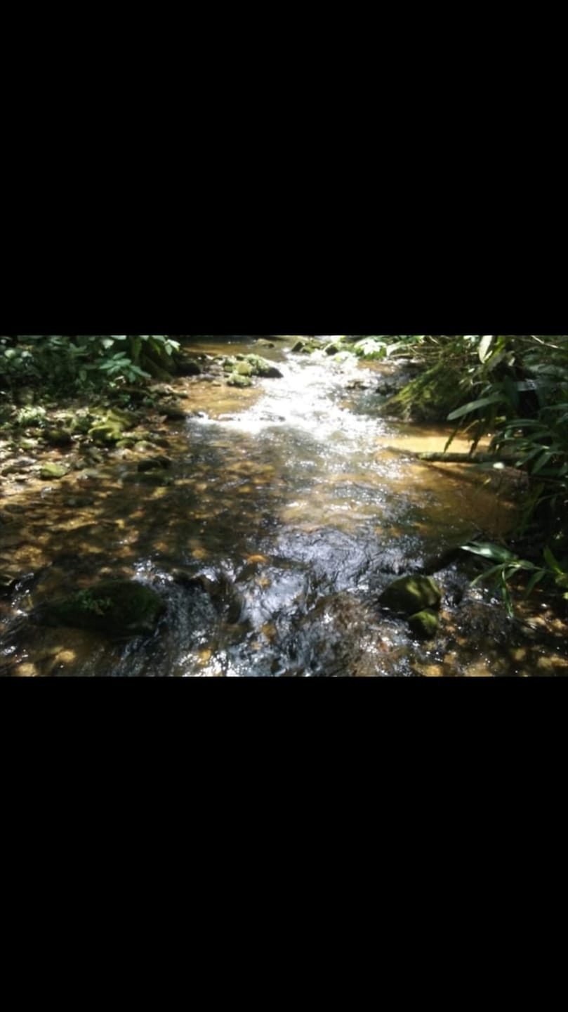 Chácara, 2 quartos, 2 hectares - Foto 7