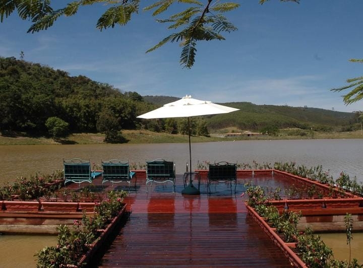 Fazenda, 600 hectares - Foto 4