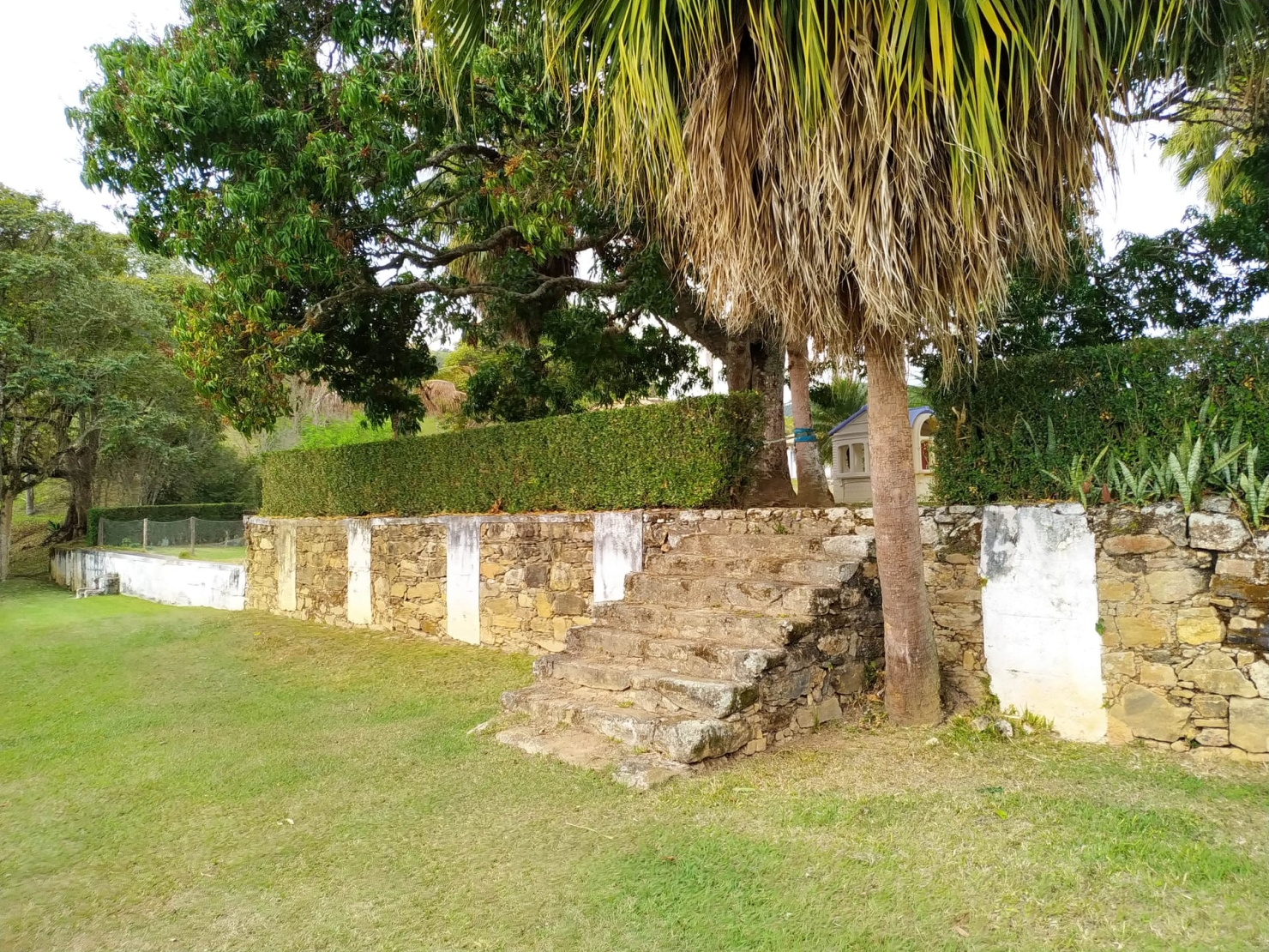 Fazenda, 600 hectares - Foto 6