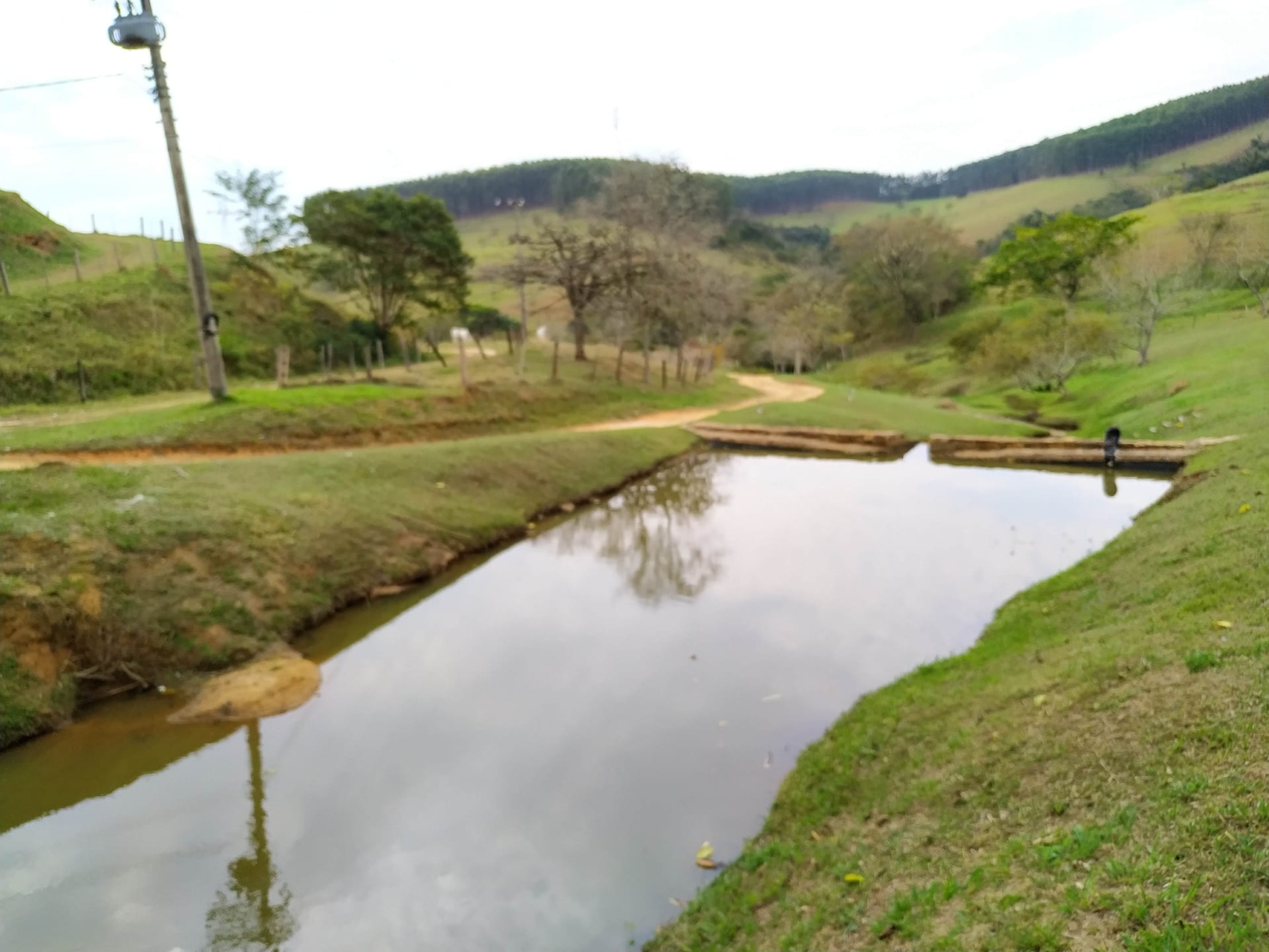 Fazenda, 600 hectares - Foto 7